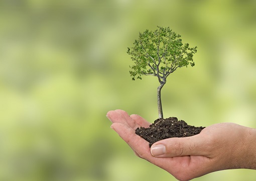 Action For India Launches Its First Ever Program