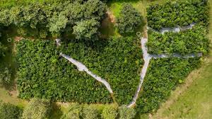 Ashok Leyland highlights green initiatives for sustainable future