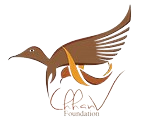 Chhanv Foundation logo